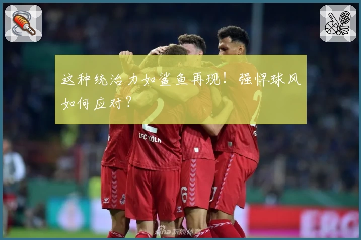 这种统治力如鲨鱼再现！强悍球风如何应对？
