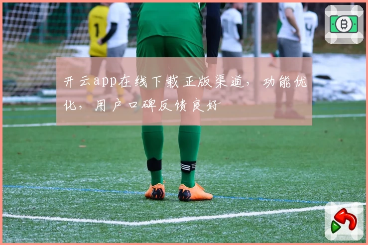 开云app在线下载正版渠道，功能优化，用户口碑反馈良好
