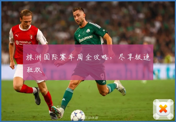 株洲国际赛车周全攻略,尽享极速狂欢